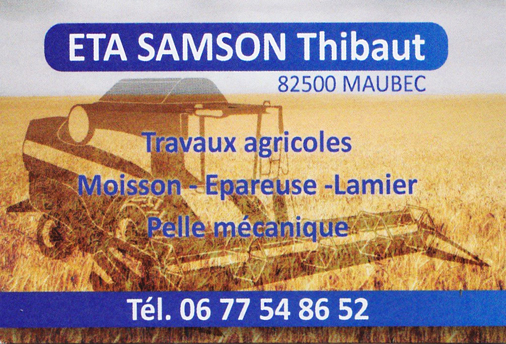ETA Samson